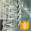 whosale layer chicken battery cage price